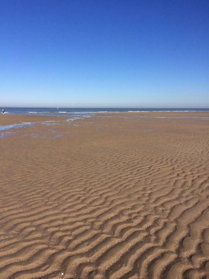 Nieuwmunster Zee Vakantievilla Begijnhof 5 De Haan מראה חיצוני תמונה